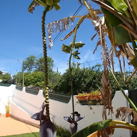 Cerro Gæstehus Albufeira