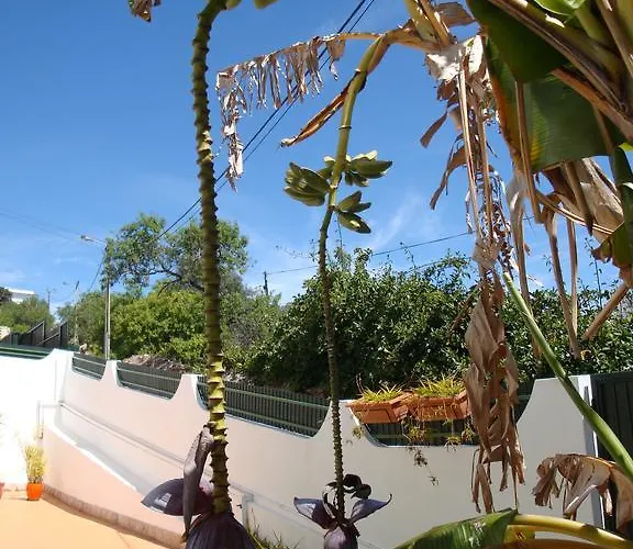 Cerro Гостевой дом Албуфейра