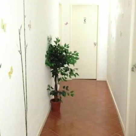 Cerro Guest house